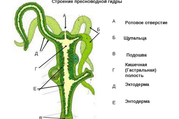 Кракен основная ссылка onion